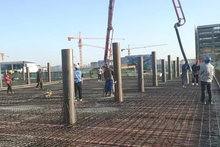 1703831174258879.jpg 微信圖片_20231229142505.jpg